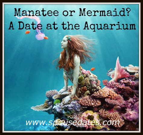mermaid dating term